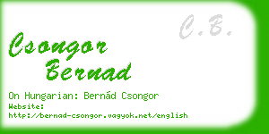 csongor bernad business card